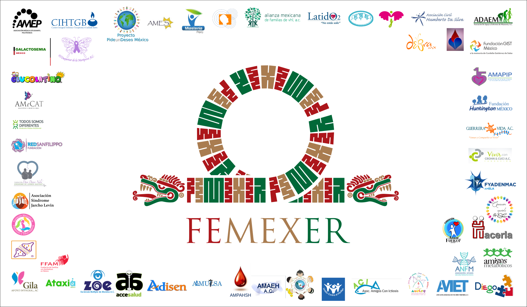 FEMEXER y sus aliados conmemoran el 10° aniversario del Día (Mundial) de las Enfermedades Raras 2017 en COFEPRIS