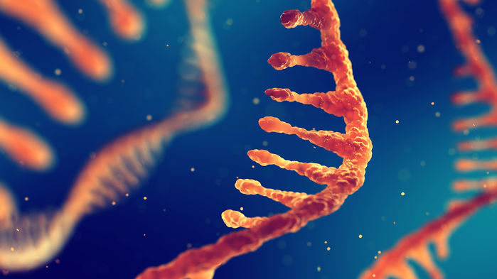 El poderoso primo CRISPR accidentalmente mutó el ARN al editar el objetivo de ADN