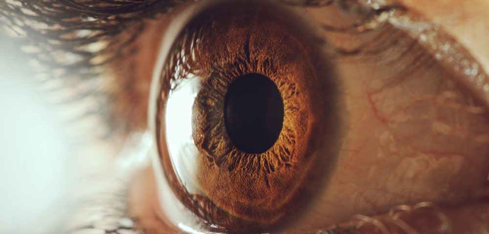 enfermedad de Fabry, vasos sanguíneos oculares
