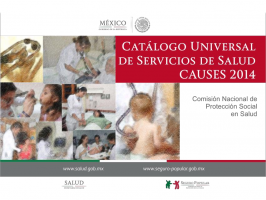 Catálogo Universal de Servicios de Salud, Seguro Popular, CAUSES 2014, pdf