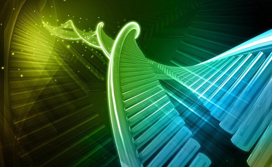 genética, ADN, información celular, código genético, herencia