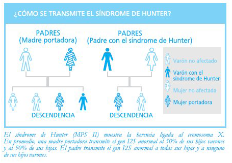 ¿Cómo se transmite el síndrome de Hunter? Información proporcionada por la página web de Shire-Takeda Argentina.