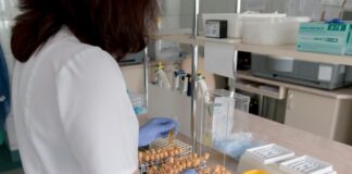 El ensayo clínico de terapia génica para la enfermedad de Krabbe comenzará este año